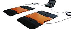 Portable scale