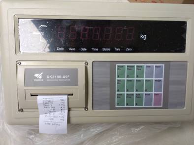 Weightbridge Indicator